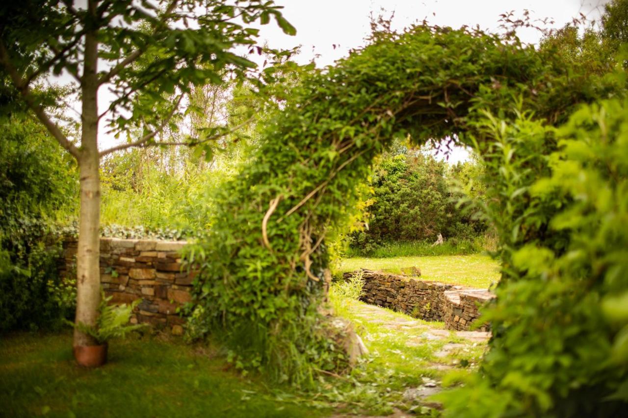 Corcreggan Mill B&B & Self-Catered Accommodation 던파나기 외부 사진